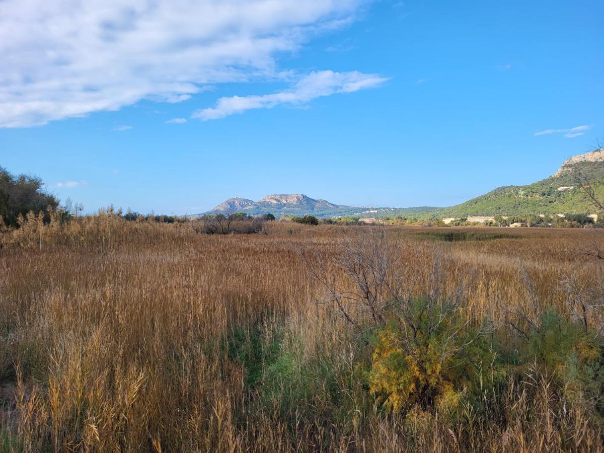 Apartamento Estartit Argonavis L'Estartit Exterior foto